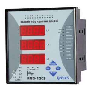 RG3-12CS-230VAC